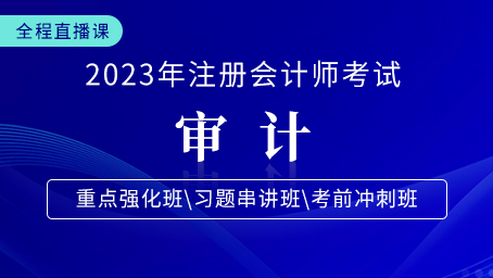 2023年注会审计重点强化第八讲